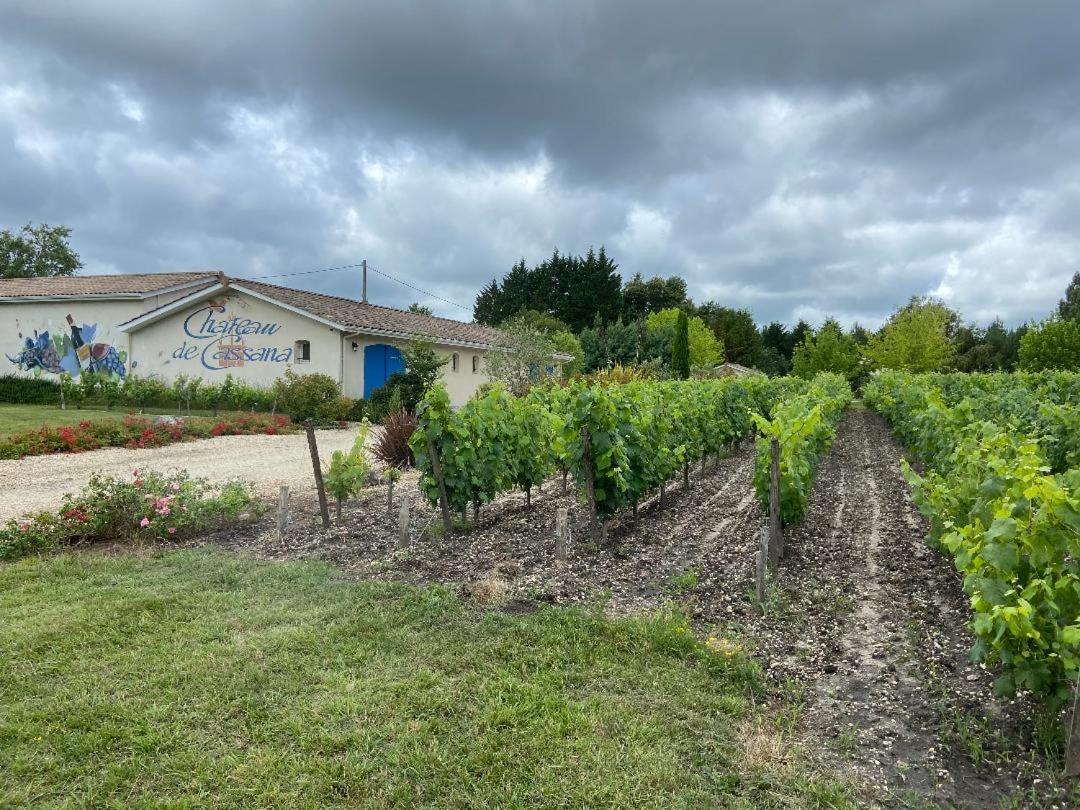 Domaine Du Cassana Saint-Sauveur (Gironde) Exterior foto